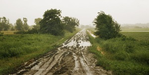 muddy_country_road